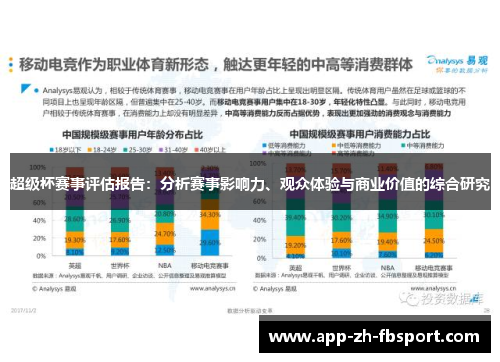 超级杯赛事评估报告：分析赛事影响力、观众体验与商业价值的综合研究